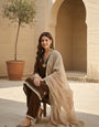 Brown Velvet Embroidered Kurta, Pant and Dupatta Set